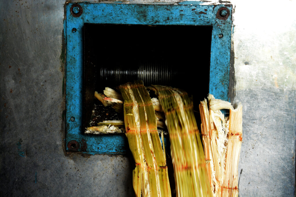 Fotografia de uma máquina de cana de açúcar. A cana está saindo da máquina moída.